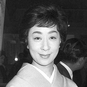 花柳小菊