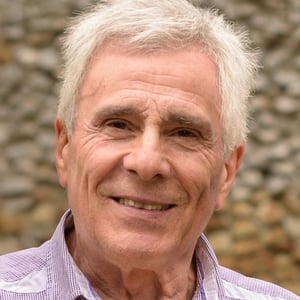 Gojko Mitić
