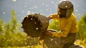 Honeyland Fragman