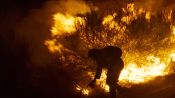 O que arde Fragman