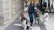 A Dog's Journey Fragman