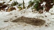 Bigfoot Fragman