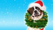Beethoven's Christmas Adventure Fragman