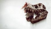 Primitive War Fragman