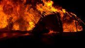 Fire in Paradise Fragman