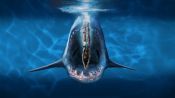 Deep Blue Sea 3 Fragman