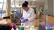 Picture a Scientist Fragman