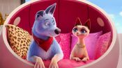 Pets United Fragman