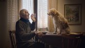 The Truffle Hunters Fragman
