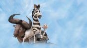 Khumba Fragman