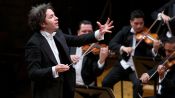 ¡Viva Maestro! Fragman