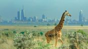 Breaking Boundaries: The Science of Our Planet Fragman