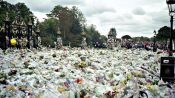 The Last Days of Princess Diana Fragman