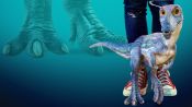 The Adventures of Jurassic Pet 2: The Lost Secret Fragman