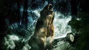 Bear Fragman