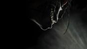 Grimcutty Fragman