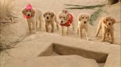 Treasure Buddies Fragman