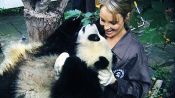 Sneezing Baby Panda - The Movie Fragman