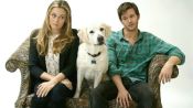 Who Gets the Dog? Fragman