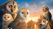 Legend of the Guardians: The Owls of Ga'Hoole Fragman