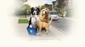 Cats & Dogs 3: Paws Unite Fragman