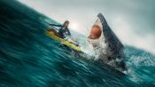 The Reef: Stalked Fragman