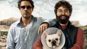Due Date Fragman