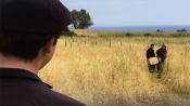 2 Yaka Yarım Aşk Fragman