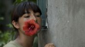 The Milk of Sorrow Fragman