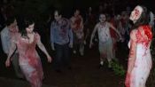 Island: Wedding of the Zombies Fragman