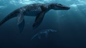 Sea Rex 3D: Journey to a Prehistoric World Fragman