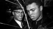 Blood Brothers: Malcolm X & Muhammad Ali Fragman