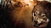 Wolf Town Fragman
