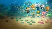 Octonauts & the Great Barrier Reef Fragman