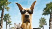 Marmaduke Fragman
