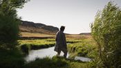 About Dry Grasses Fragman