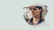 Hive Fragman