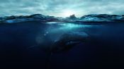 Fathom Fragman