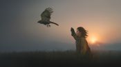 H Is for Hawk Fragman