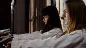 Violet & Daisy Fragman