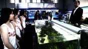 Cold Fish Fragman
