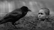 The Painted Bird Fragman