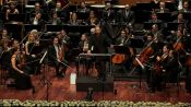 Bifo & CMYLMZ Fragman