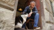 Kedi Fragman