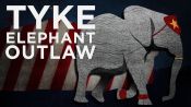 Tyke Elephant Outlaw Fragman