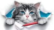 Nine Lives Fragman