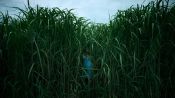 In the Tall Grass Fragman