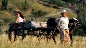 Dos Mujeres y una Vaca Fragman