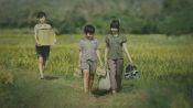 Tôi thay hoa vàng trên co xanh Fragman