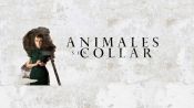 Animales sin collar Fragman